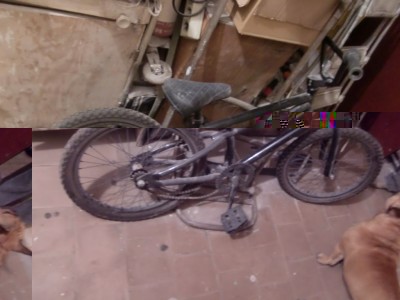 K1024_CIMG5888.JPG