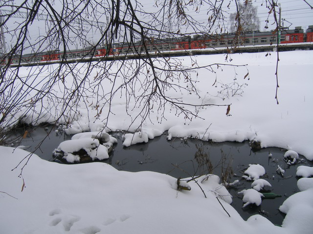 P2160279.jpg