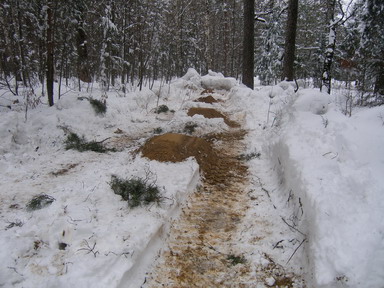 2012- 04-05 023.jpg