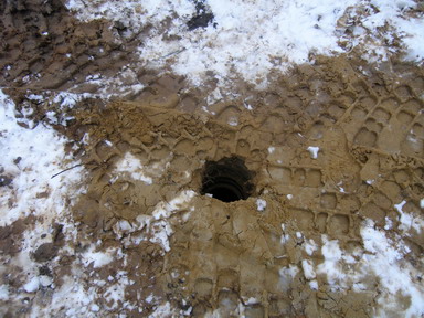 2012- 04-05 025.jpg