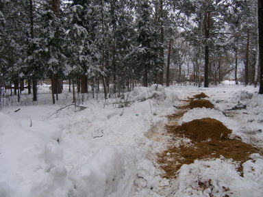 2012- 04-05 030.jpg