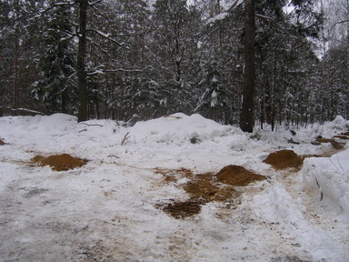 2012- 04-05 031.jpg