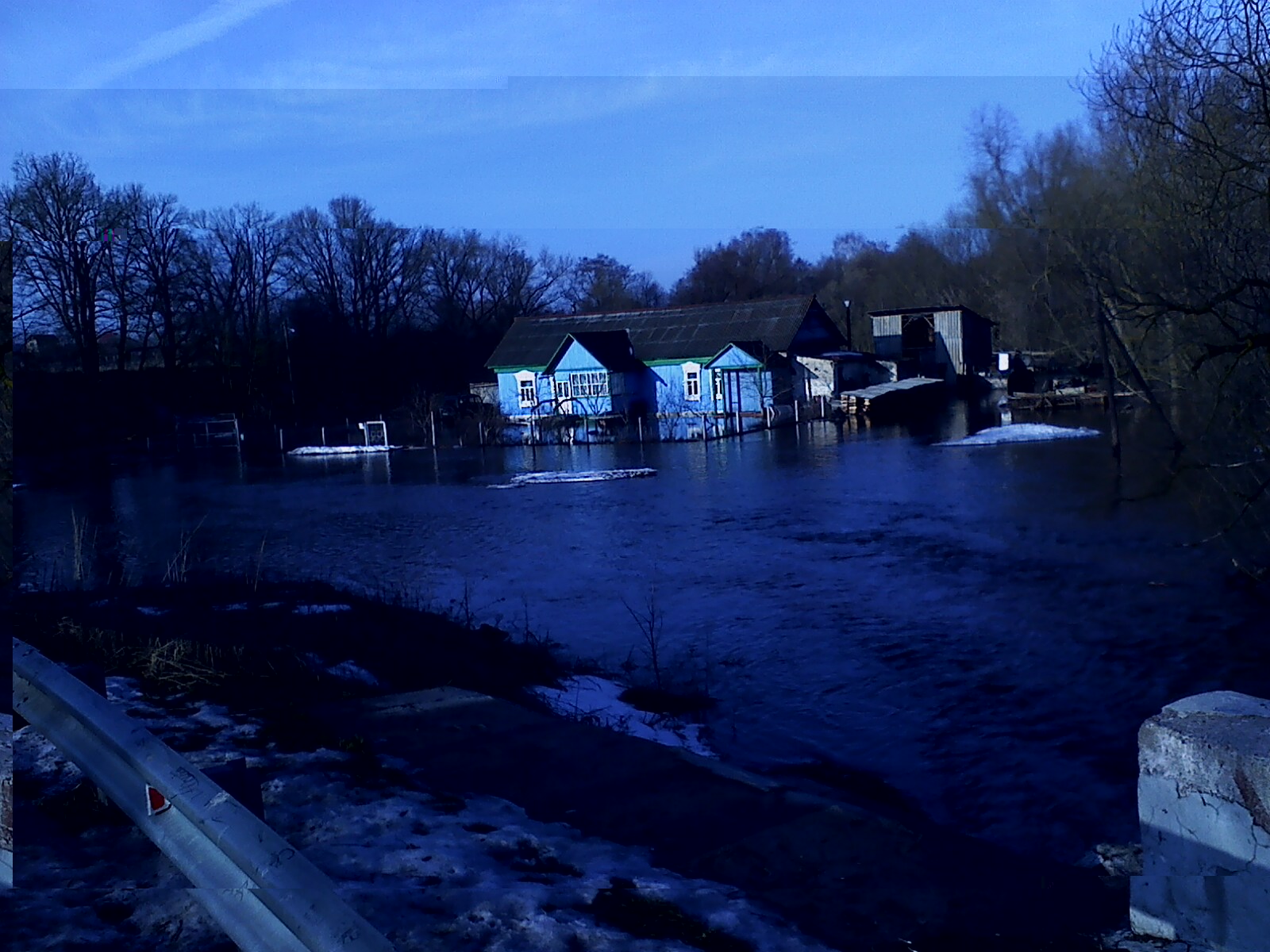 IMG10019.jpg