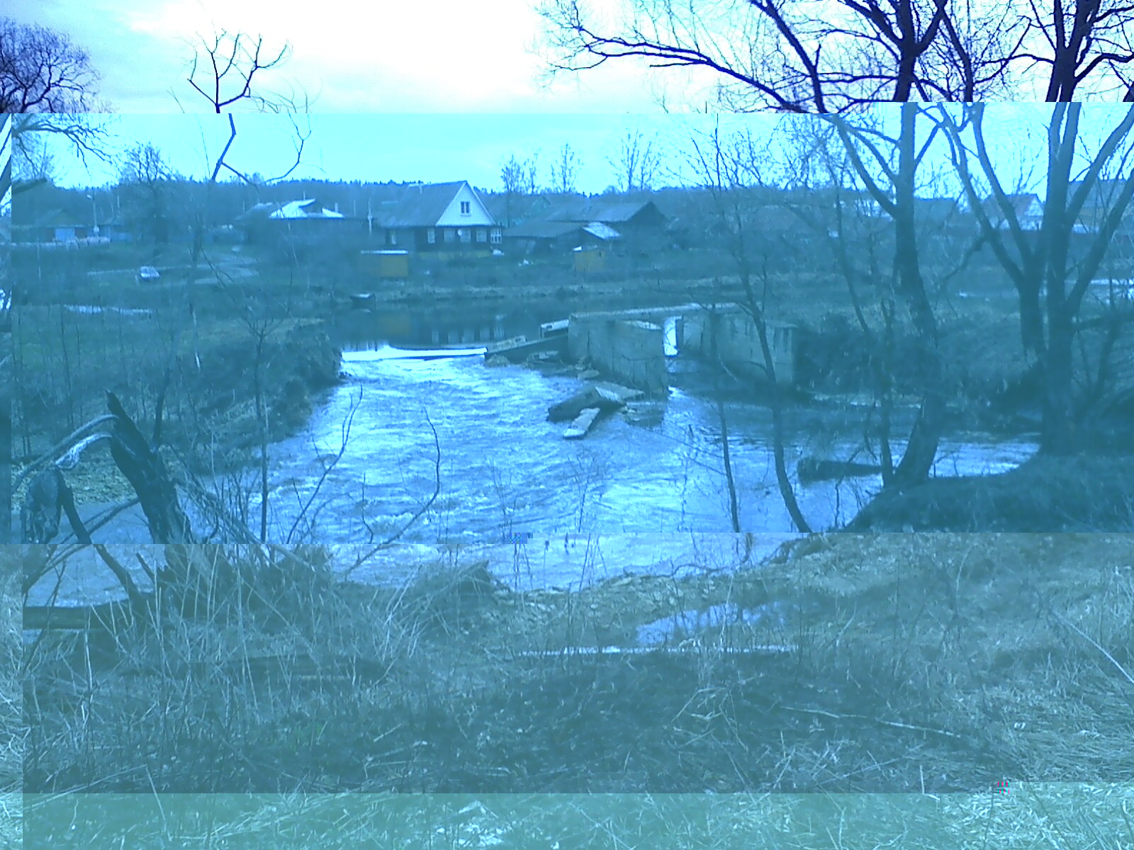 IMG10020.jpg